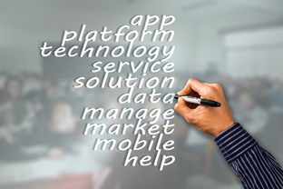 开云app-瑞典队未来：如何建立更具竞争力的国际品牌，瑞典队分析